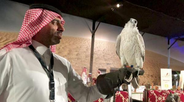 بالفيديو... بيع صقر في السعودية بسعر خرافي