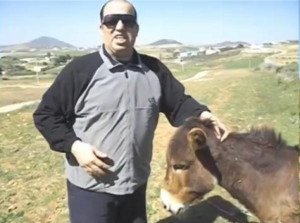 مول الدلاحة وحرية الحمير