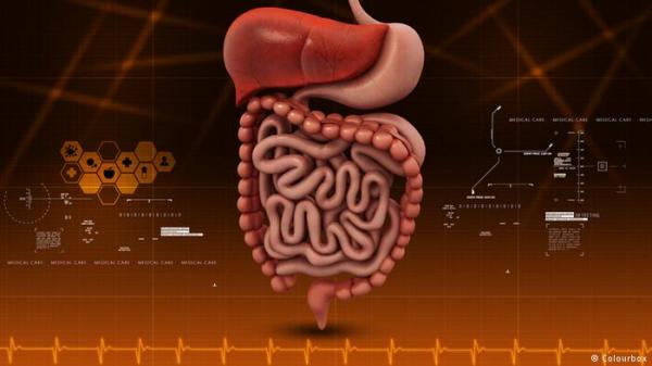 خبراء ألمان: التهاب الزائدة لدى الأطفال لا يتطلب جراحة فورية