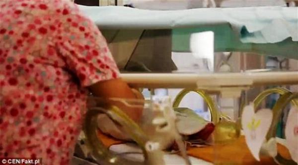 ولادة طفل بعد شهرين على وفاة أمه بسبب السرطان