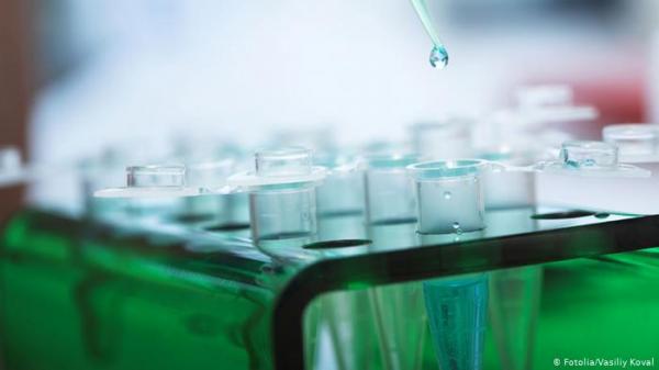 ملايين الأوروبيين يبحثون عن أجدادهم لمعرفة أصولهم