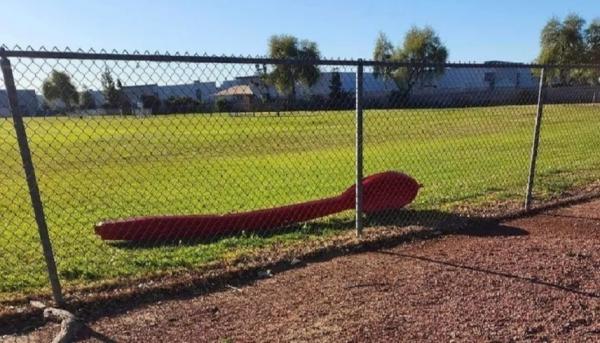 بوكيمون غو تقود إلى العثور على ملعقة حمراء ضخمة سرقت من مطعم أمريكي