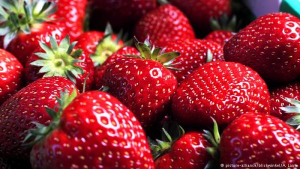 في صور.. فضائح مواد غذائية صدمت العالم