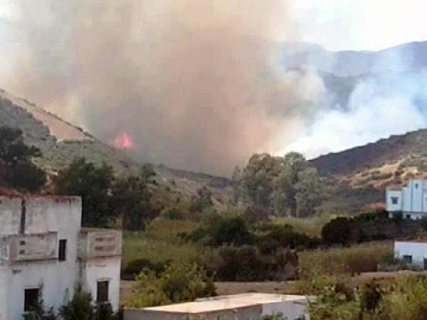 إخماد حريق شب بمنطقة بليونش بعمالة المضيق الفنيدق أتى على نحو 5ر8 هكتارا من الغطاء النباتي