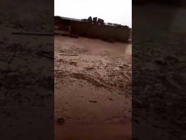 شاهدوا التبروري بحجم كبير ضواحي الصويرة