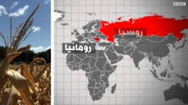 ‮الجفاف يؤثر على أسعار الغذاء في العالم.