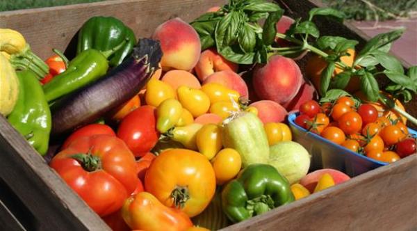 كم من الفواكه والخضروات يحتاج الجسم يومياً؟