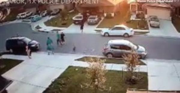 بالفيديو.. كلب يهاجم على طفل أثناء اللعب خارج منزله