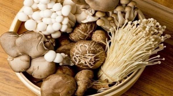 5 فوائد رائعة يوفرها الفطر لبشرتك