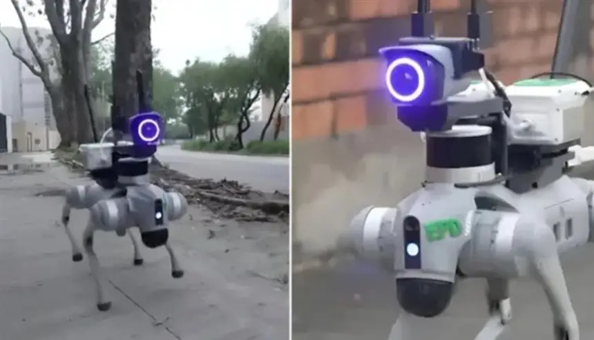 هونغ كونغ تراقب الطبيعة بجيش من الروبوتات والذكاء الاصطناعي