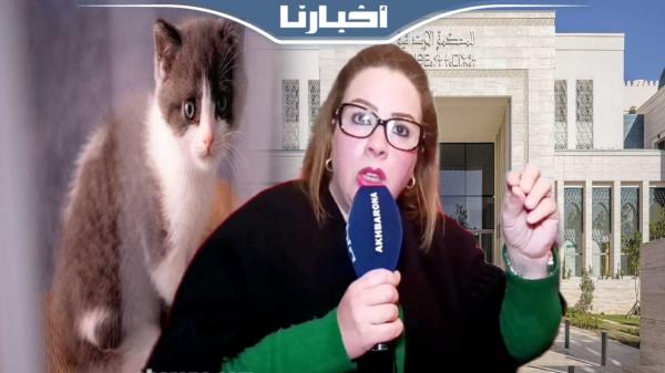 أول تصريح لرئيس جمعية الرفق بالحيوان بعد الحكم بالحبس على قاتل قطة بتطوان