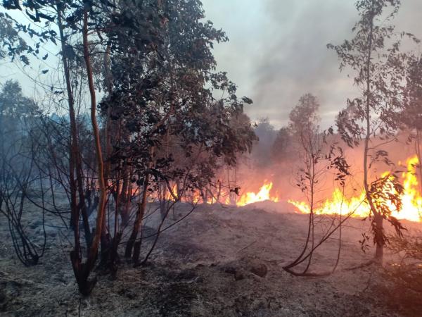 حريق مهول يلتهم عشرات الهكتارات الغابوية بأصيلا