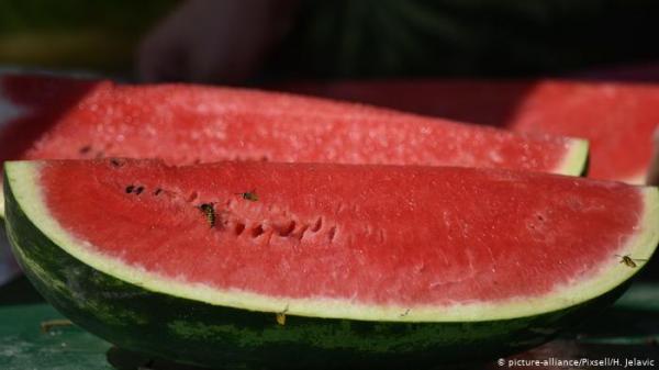 تهكم من نصيحة وزارة الصحة المصرية بتناول البطيخ لتقوية المناعة