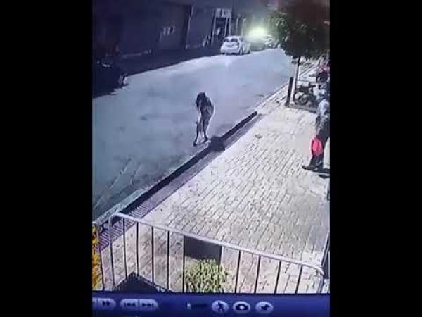 عصابة بالقنيطرة تستعمل "تريبورتور" لسرقة ضحاياها(فيديو)