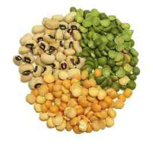 الفاصوليا والعدس من أكثر العناصر الغنية بالحديد