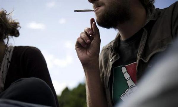 اكتشاف جزيئة تحمي الدماغ من إدمان القنب الهندي