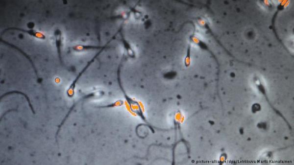 تجارب فعالة لعلاج سرطان الرحم تعتمد على حقن الحيوانات المنوية