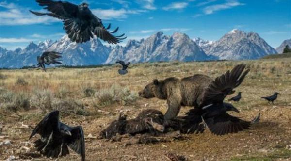 ليحصل على هذه الصورة التقطها 200 ألف مرة