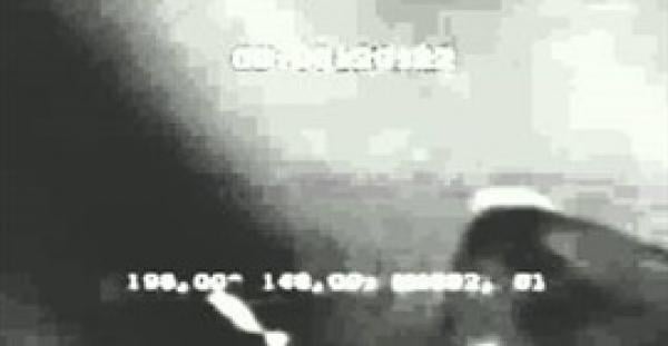 بالفيديو.. ظهور وحش غامض يسبح في مياه القارة القطبية الجنوبية