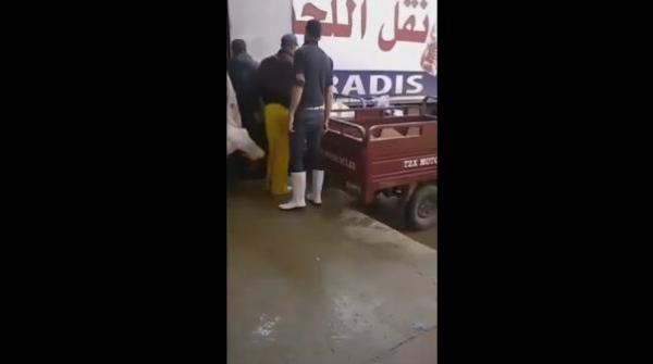 شاهد طريقة نقل اللحوم بالتريبورتور في مدينة بني ملال