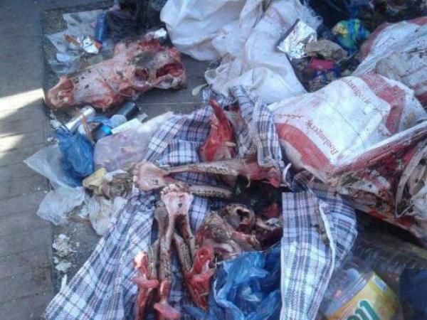 بالفيديو .. مواطنون يعثرون على بقايا جثة يعتقد أنها تعود لحمار في حاوية أزبال بالبيضاء