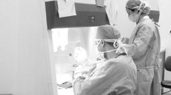 فريق من الباحثين يتوصل إلى كريم لمنع الإصابة بفيروس الإيدز