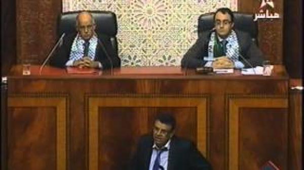 المعارضة والقضية الفلسطينية