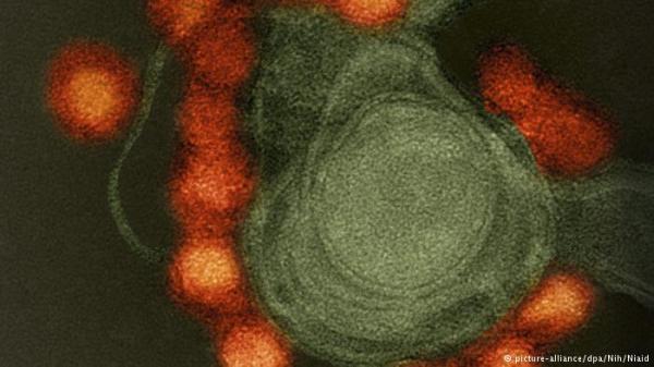 ثلث البشر يعيشون في مناطق يمكن أن يتفشى فيها وباء زيكا