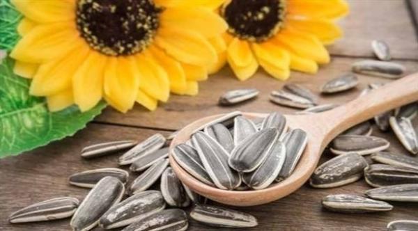 هذه أهم الأغذية التي  تمكن جسمك من التزود بفيتامين "إي"