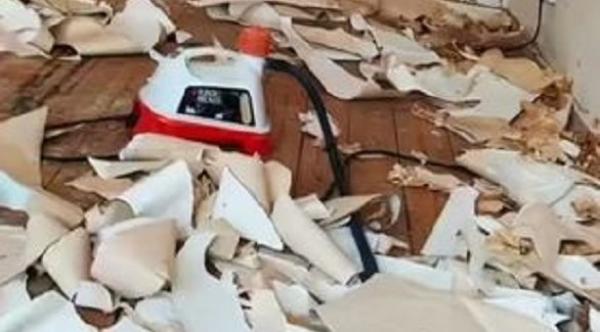 تتمكن من إعادة تأهيل منزلها الجديد خلال أسبوع واحد