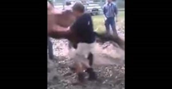 بالفيديو.. رجل حاول ركوب حصان فتلقى ركلة قاسية في الوجه