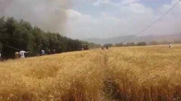 حريق بارض بالدرة باقليم بني ملال