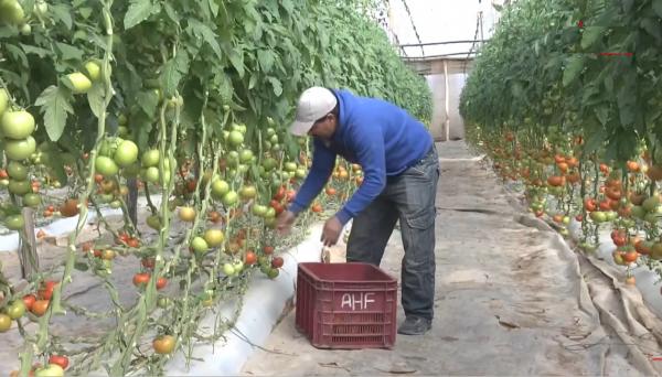 حقول في سوس تنتظر تساقطات مطرية