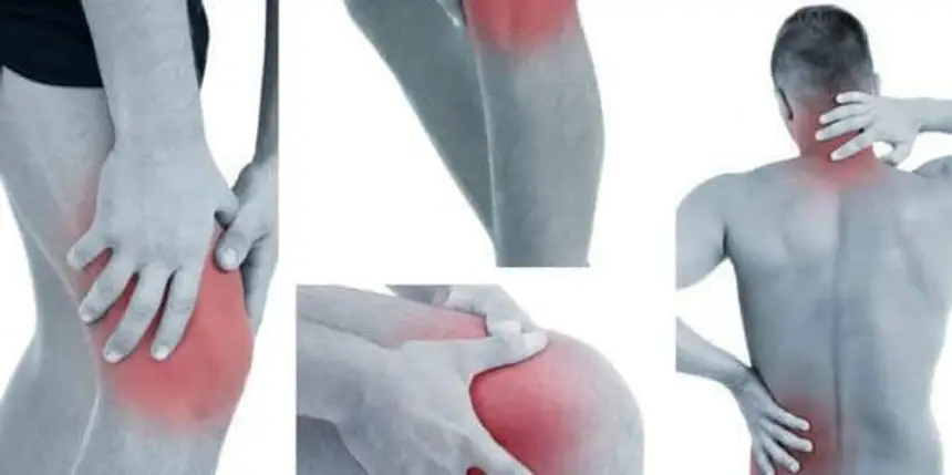 بطرق طبيعية.. 5 أطعمة تحارب آلام المفاصل وتحسن الحركة