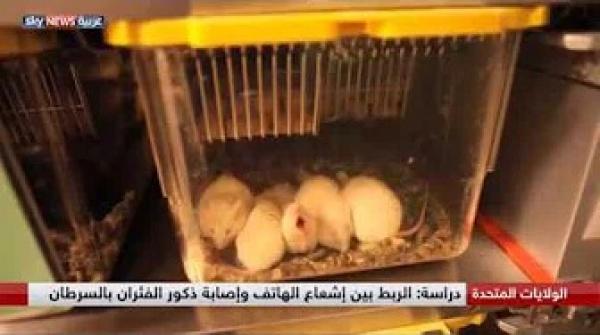 دراسة: الربط بين التعرض لإشعاع الهاتف المحمول وإصابة ذكور الفئران بالسرطان