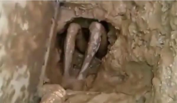 بالفيديو: سجين يحاول الهروب من المرحاض فيحتجز فيه