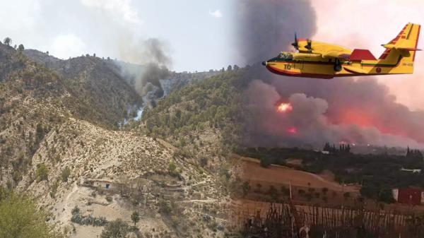 صاعقة برق تتسبب في حريق هائل بغابة ضواحي تازة