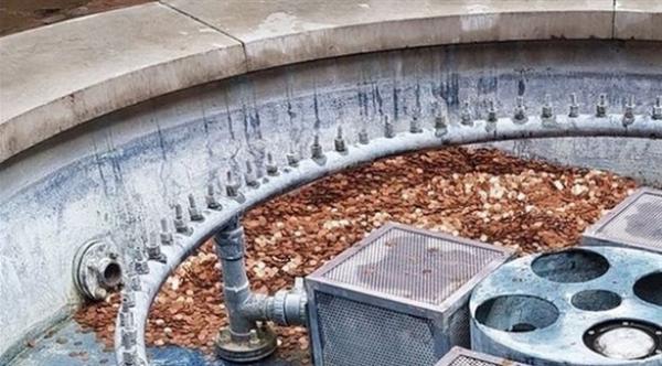 تضع 100 ألف عملة نقدية في نافورة مهجورة.. والنتيجة؟