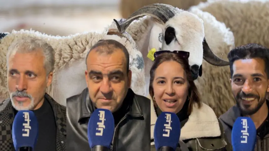 ردود فعل مغاربة بعد إلغاء عيد الأضحى...كنشكرو سيدنا والشناقة الله يسمح ليهم