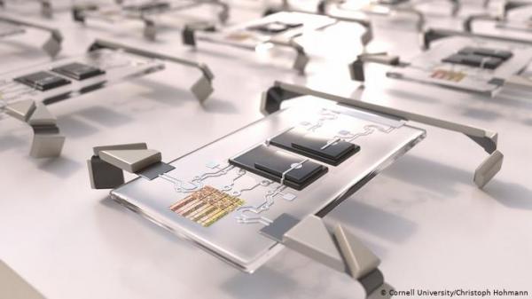 للحقن في الجسم.. روبوت جديد بحجم شعرة يمشي على أربع قوائم