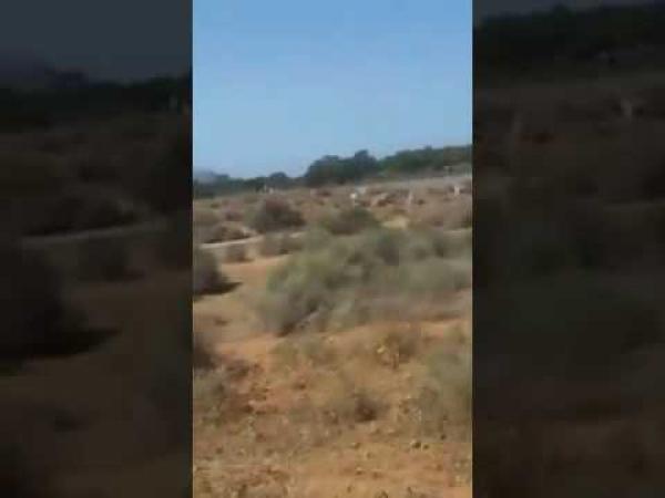 بالفيديو .. الأمن يطارد نشطاء الحراك في جبال الريف لمنعهم من الالتحاق بالحسيمة