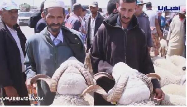 تصريح مثير لكساب بسوق سطات: عطاوني أكثر من مليون ومبغيتش نبيع