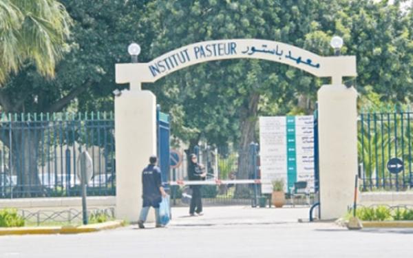 خبير بمعهد "باستور" يكشف خلفيات حملة التشكيك في لقاح "أسترازينيكا"