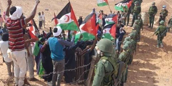 صورة حقيقية