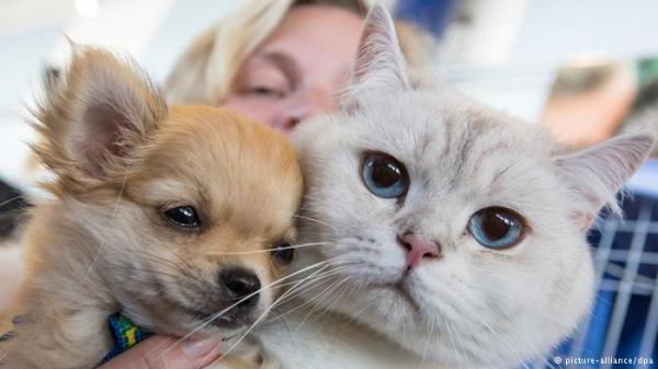 دراسة: الحيوانات الأليفة خير مساعد مع الأمراض العقلية