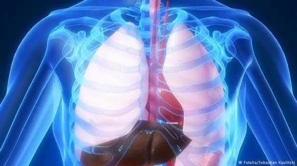 خمسة أعضاء في الجسم أصغر عمرا مما نتصور!