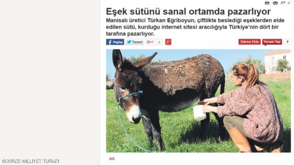 ارتفاع أسعار الحمير بتركيا بسبب زيادة الطلب على حليبها