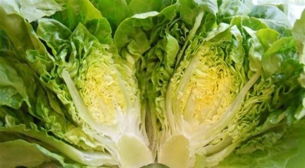 الخس هو المكون السري للسلطة الذي تبحث عنه