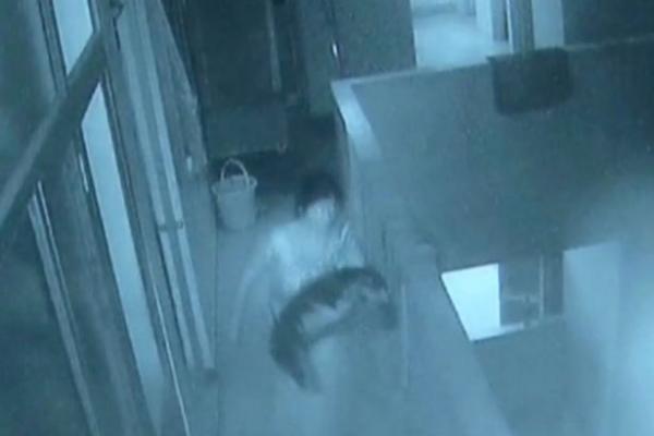 بسبب الغيرة... هندية تلقي بابن أختها المولود حديثاً من شرفة المستشفى