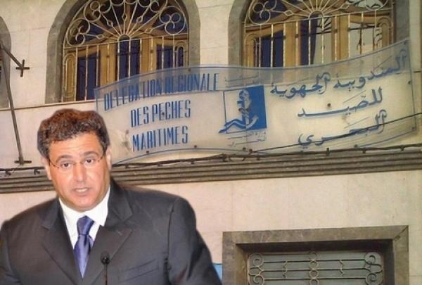 فضيحة بمندوبية المكتب الوطني للصيد بالعرائش